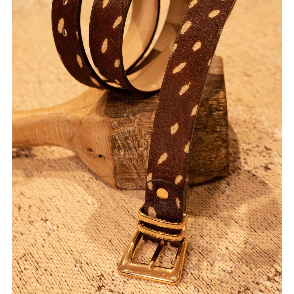 Rodeo