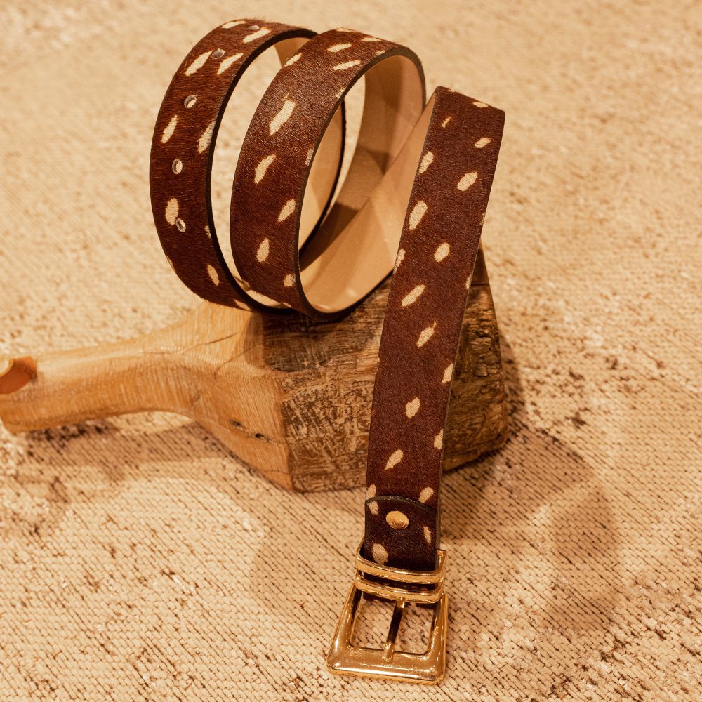 Rodeo